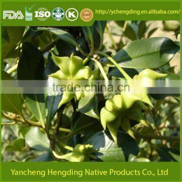 Factory Supply Natural Star Anise From Jiangsu of China/Whole Star Anise Good Quality and Big Quantity