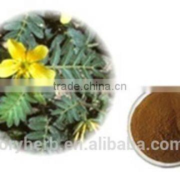 organic tribulus terrestris extract powder