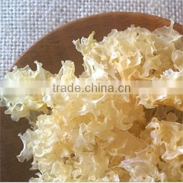 Cheap Price Dried Organic Tremella Fuciformis