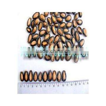 Black dried Chinese watermelon seeds