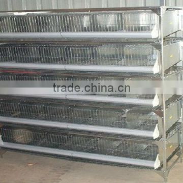 Quail cage/2013 hot sale Quail cage/automatic quail cage