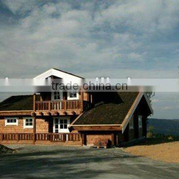 CE Villa House