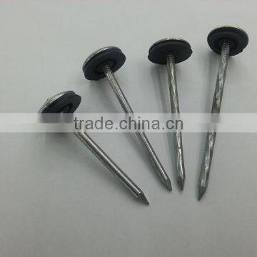 Umbrealla Nail With Roofing Head and Thread Nail Body photo-4