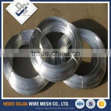 Hot Dipped Electro Galvanized Iron Wire Mesh