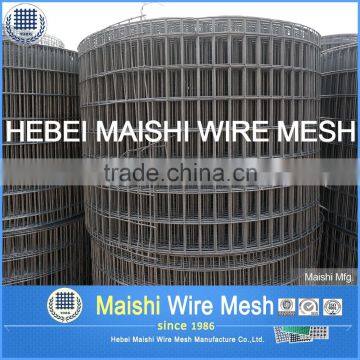 1/2" Sq Mesh Galvanized Weld Wire Mesh photo-4