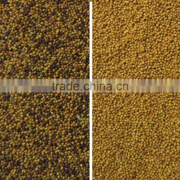 2017 Intelligent Image Double Side Ccd Camera Seed Color Selector photo-5