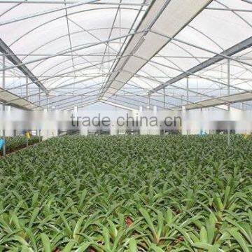 cheap price high quality vegetables and flowers planting greenhouse film exporter