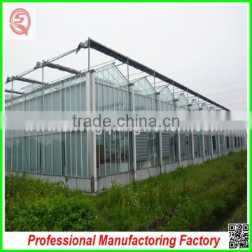 Easily assembled feature aluminium garden greenhouses with Lighting system