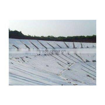 Hot Sale HDPE Geomembrane HDPE Sheet . photo-2