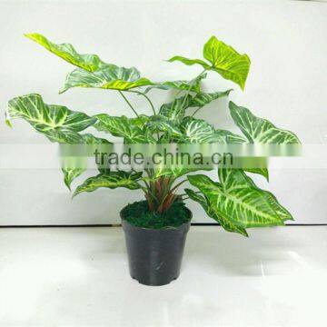 SJ13001106 Artificial water arum plant sale