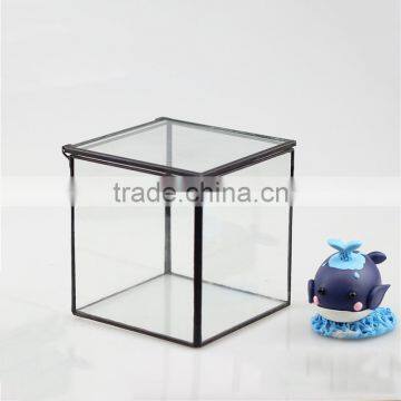 Succulents micro landscape square cover glass greenhouse greenhouse manufacturers direct solid geometry