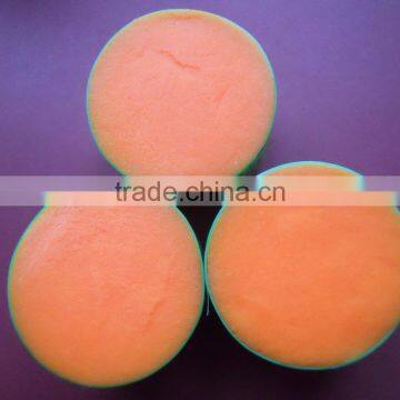 NYLON PBT TOOTHBRUSH BRISTLE photo-3