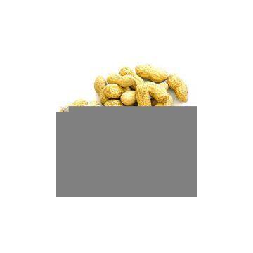 Sell Chinese Peanut Kernels