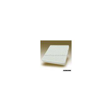 Latex Foam Cushion