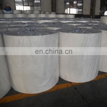 PP Agriculture Nonwoven Fabric