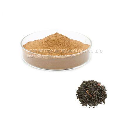 Supplier Supply Instant Black Tea Powder Organic Black Tea Extract photo-2