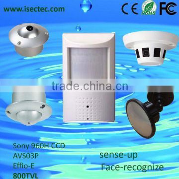 1/3" Sony Ccd 420tvl-800tvl High quality hidden Security Camera with factory price