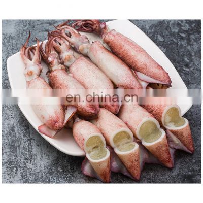 Good quality frozen loligo squid with roe for export