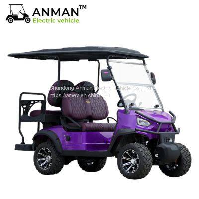 2+2 electric golf carts, sightseeing car, beach cart