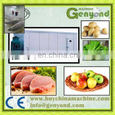 Frozen Cold Room for Meat and Fish With Solar Power Cold Room Thermometer photo-2