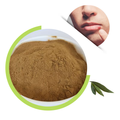 Best Price Olive Leaf Powder HPLC Brown powder 20% 40% Oleuropein Olive Leaf Extract powder