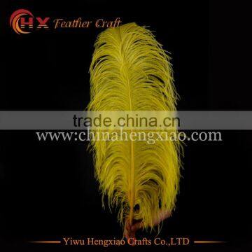 wholesale cheap 50-55cm ostrich feathers for sale