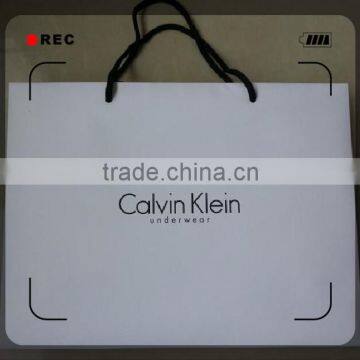 Cutom Color Printing Paper Gift Bag