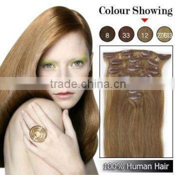 Wholesale Price High Quality Clip In Hair Extensions