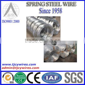 Hot Dipped Galvanized Steel Wire