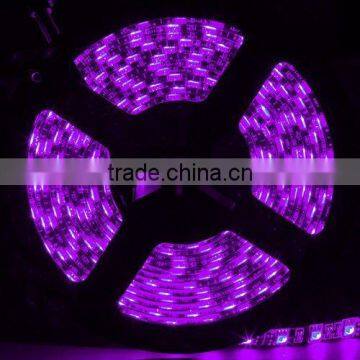 Fullbell professional led supplier quad row high power led flexible light strip