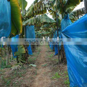 Banana plastic bag manufacturer