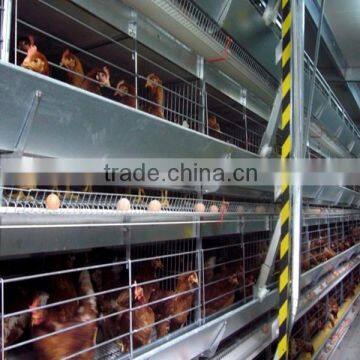 FRD-Design Baby Chicken Cage/ Chicken Breeding Cage Manufacturer