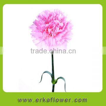 Reliable quality new coming preserved carnation flowers with natural