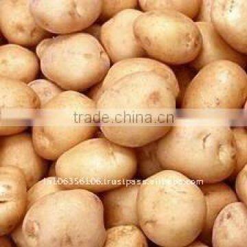 Indian Fresh Potato