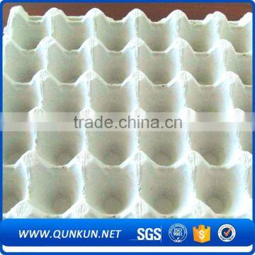 Best selling products 20 eggs tray box