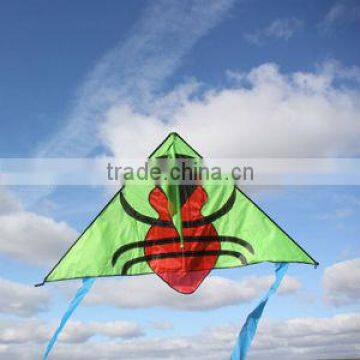 children kite