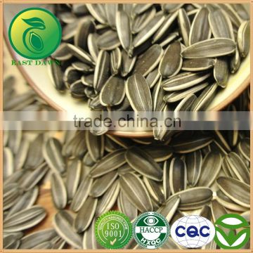 Sunflower Seeds For Making Sunflower Seeds Oil