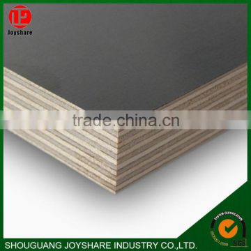 Professional supply high quality waterproof furniture melamine plywood