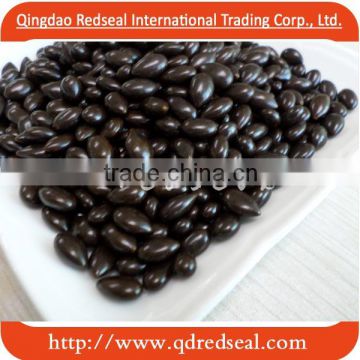 Chocolate coated sunflower seed kernels