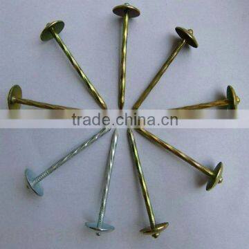 umbrella head roofing nails