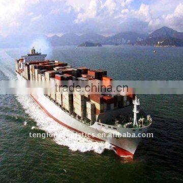 Freight forwarder shipping to Salvador of Brazil from Xiame Fuzhou