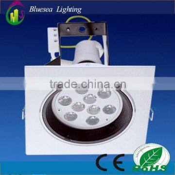 customized power ceiling light/spot light/downlight