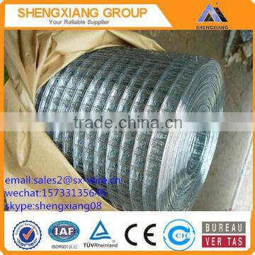 4mm diameter galvanized welded wire mesh