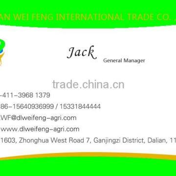 Yellow Soybean photo-3