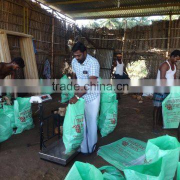 Coconut Rate Today photo-3