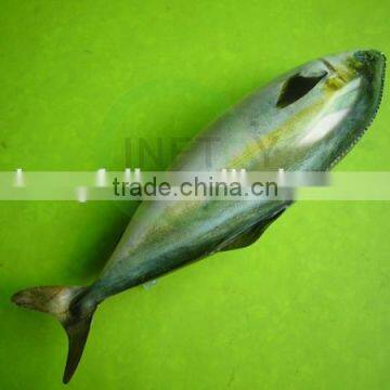 Real vivid inflatable pvc fish toy for advertising promotion pvc toy