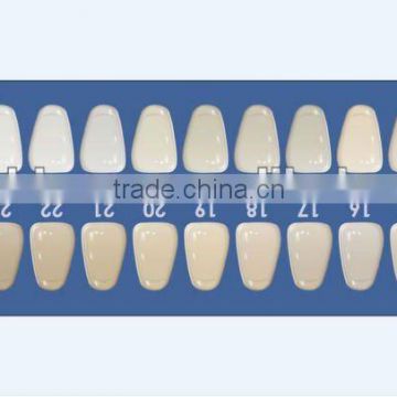 private label teeth whitening shade guide/ teeth color comparator/ easy shade/ shade guide/ CE approved/ 24 colors