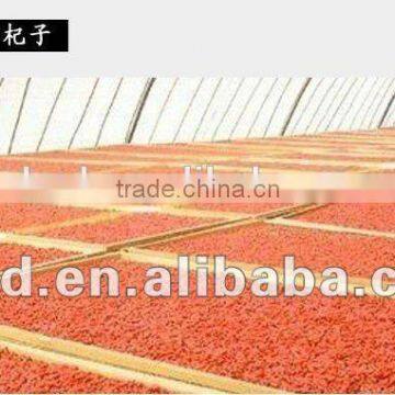 High Quality Dried Raw Goji Berries photo-6