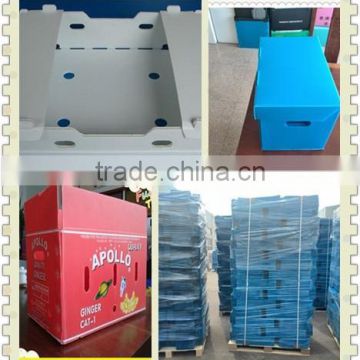 Folding corrugated plastic box