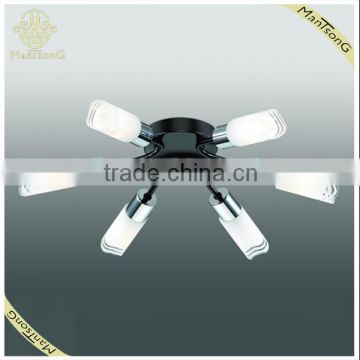 Certificated Iron Base Ceiling Lamp Black Color, Light Fixture of Ceiling